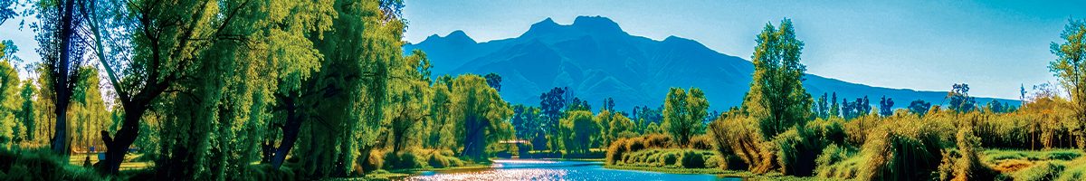 Banner julio